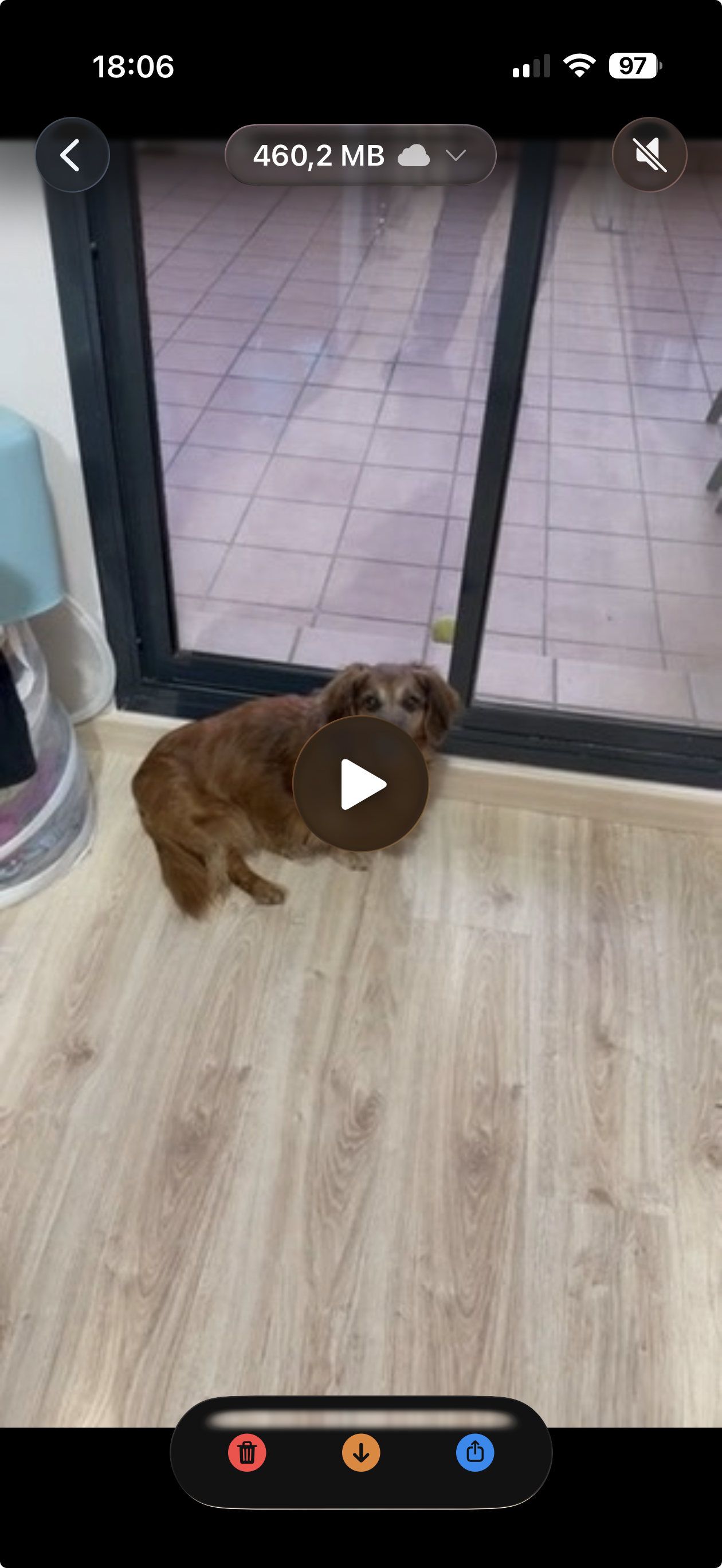 Undolly video cleanup interface - fullscreen, muted, with size indicator